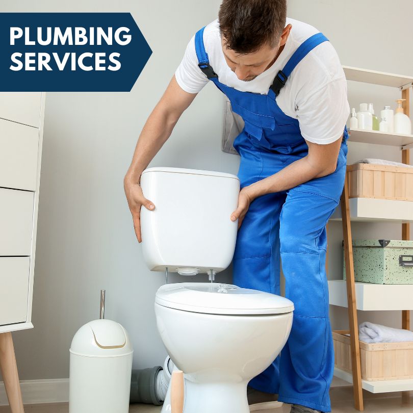 Plumbing Company in Newington, GA